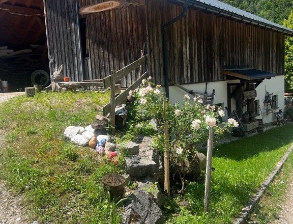 Waldpädagogik, © Ybbstaler Alpen Waldpädagogik, © Ybbstaler Alpen