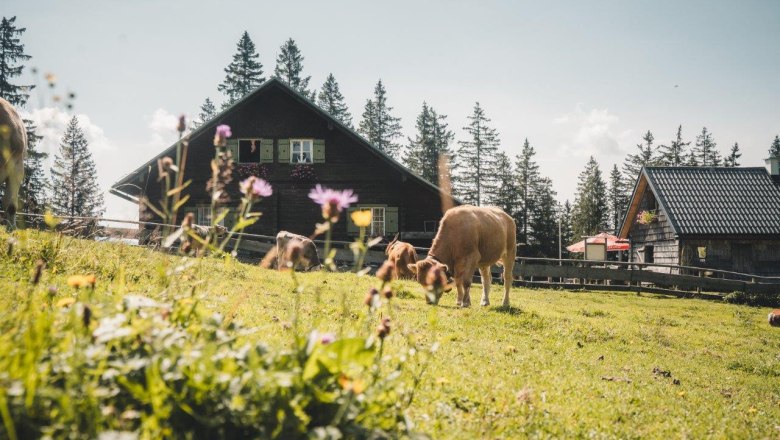 Kitzhütte, © Gerald Demolsky Kitzhütte, © Gerald Demolsky