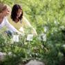 Herbal adventure garden, © weinfranz.at Two women in the herb garden, looking at the plants.