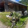 Waldpädagogik, © Ybbstaler Alpen Waldpädagogik, © Ybbstaler Alpen