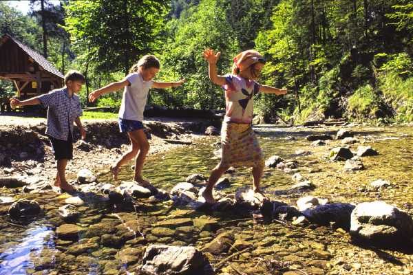 Adventures by the stream, © zVg Adventures by the stream, © zVg