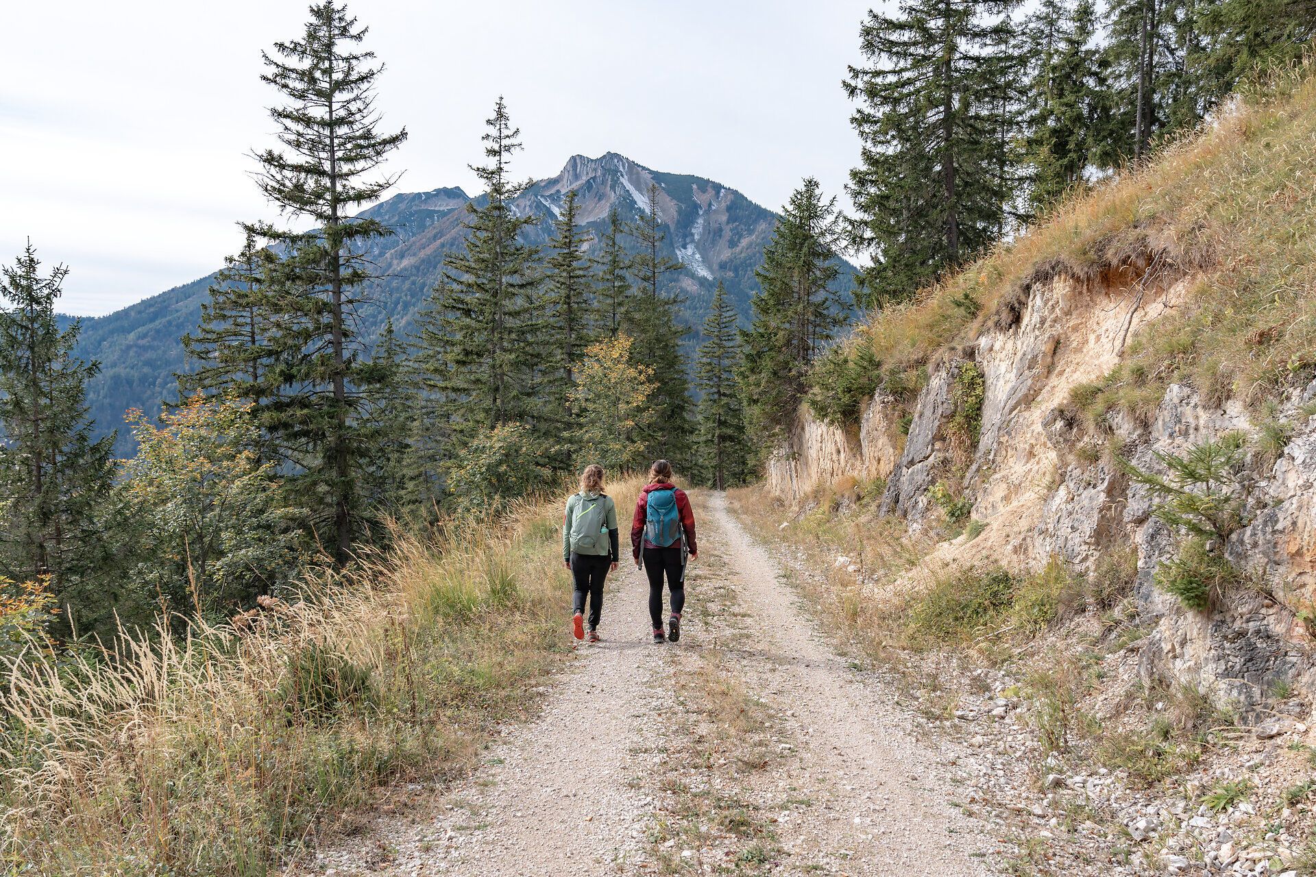 Zwei Wanderer genießen die frische Herbstluft, während sie auf einem schmalen Weg durch die Ybbstaler Alpen schreiten. Umgeben von majestätischen Bergen und dichten Nadelwäldern, vermittelt die Szenerie ein Gefühl von Freiheit und Abenteuer. Die sanften Hügel und die klare Luft laden dazu ein, die Schönheit der Natur in vollen Zügen zu erleben.