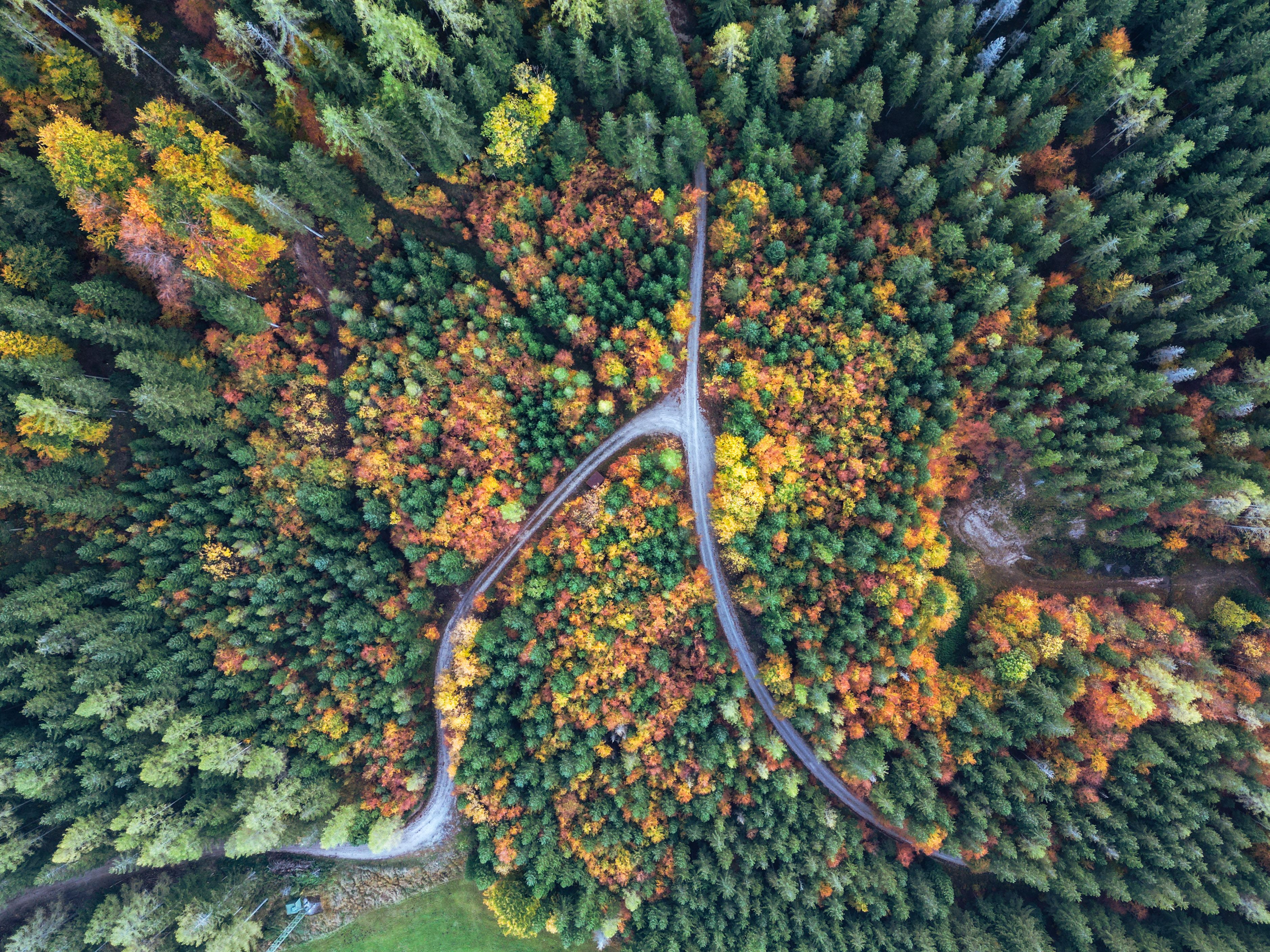 Naturpark NÖ Eisenwurzen