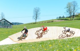 Königsberg Bike Park, © Wolfgang Wutzl