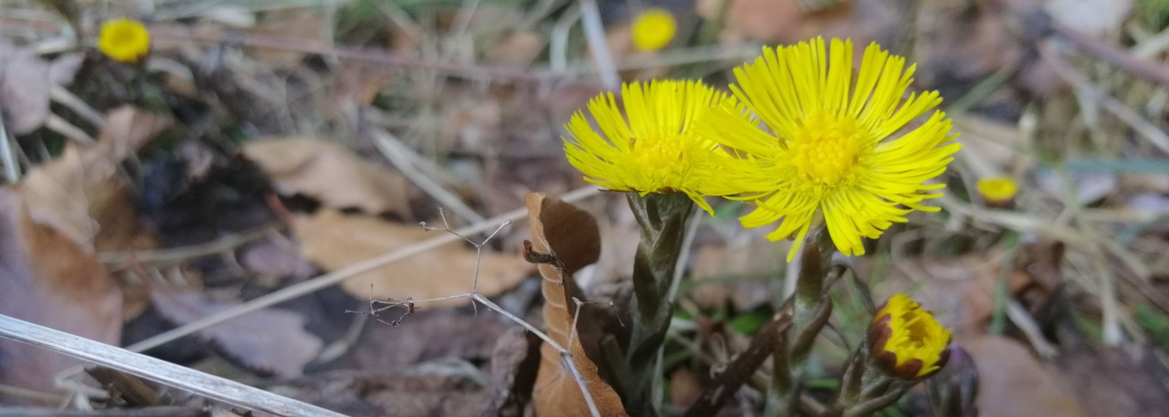 Ein Herz für die Natur, © Christine Baron