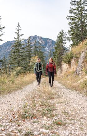 Zwei Wanderer genießen die frische Herbstluft und die atemberaubende Landschaft der Ybbstaler Alpen. Umgeben von majestätischen Tannen und sanften Hügeln, erleben sie die Ruhe und Schönheit der Natur auf ihrem Weg. Der goldene Herbst verleiht der Szenerie eine besondere Magie.