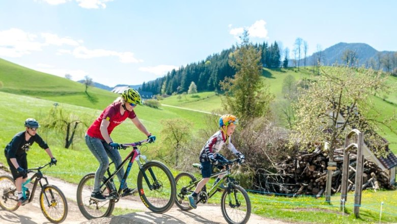 K&ouml;nigsberg Bike Park, &copy; Wolfgang Wutzl