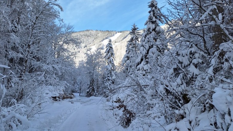 ferienhof-schelchen-im-winter-12, &copy; Schoisswohl