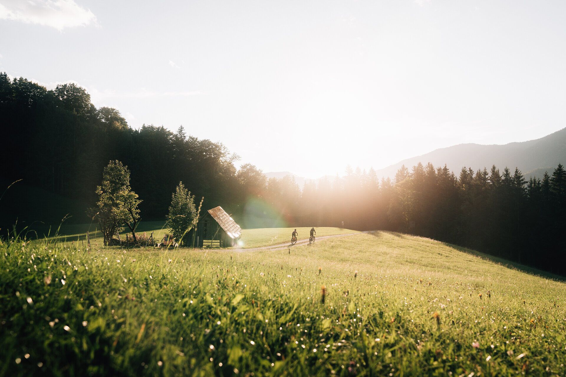 Die sanften Hügel und die goldene Abendsonne schaffen eine malerische Kulisse für Radfahrer, die die frische Bergluft genießen. Umgeben von üppigem Grün und dem sanften Rauschen der Natur, lädt diese idyllische Landschaft zu unvergesslichen Erlebnissen ein.