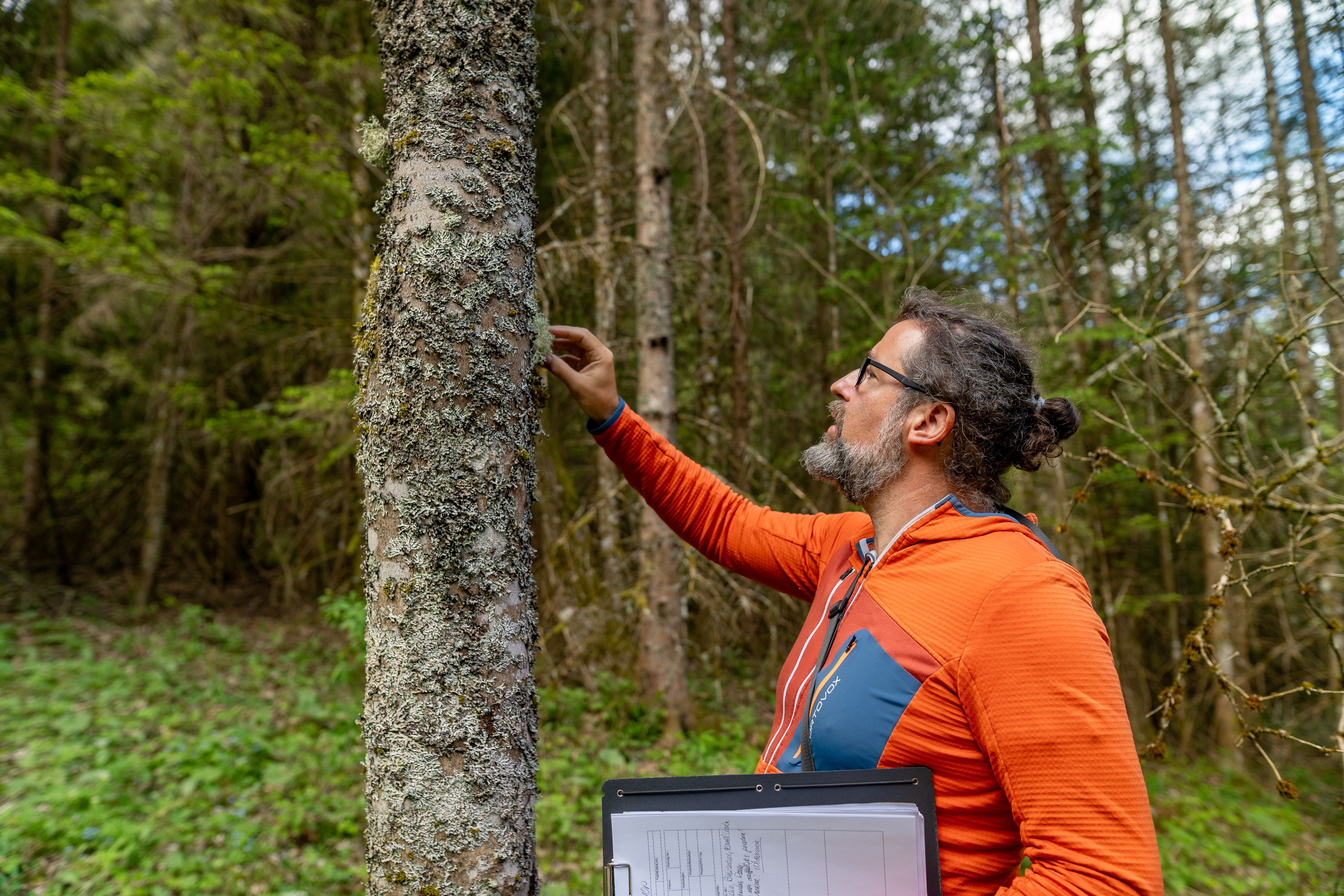 Flechtenerhebungen im Naturpark NÖ Eisenwurzen