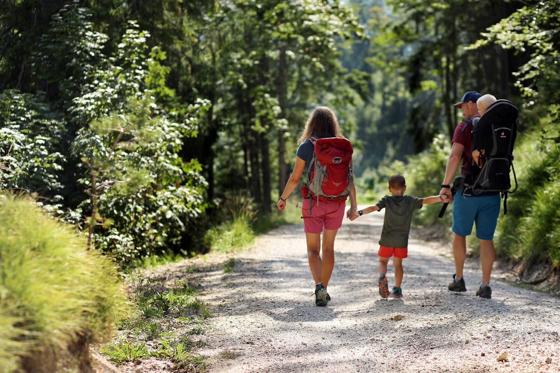 Familie wandert entlang einer Forststraße im Naturpark NÖ Eisenwurzen.