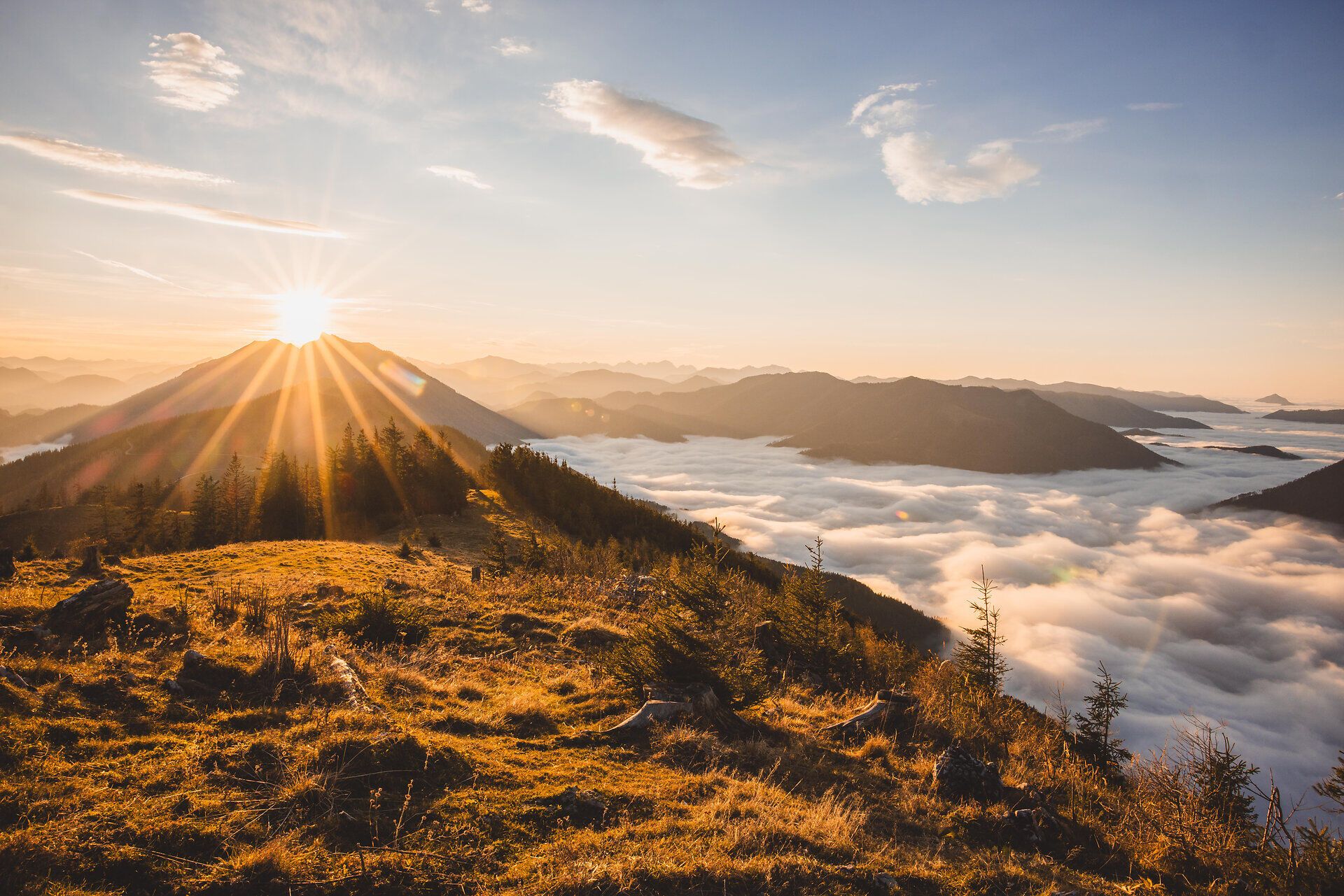 Die sanften Hügel des Mostviertels erstrahlen im warmen Licht der Herbstsonne, während der Nebel sanft über die Täler zieht. Die goldenen Farben der Wälder und Wiesen schaffen eine malerische Kulisse, die zum Verweilen und Entdecken einlädt.