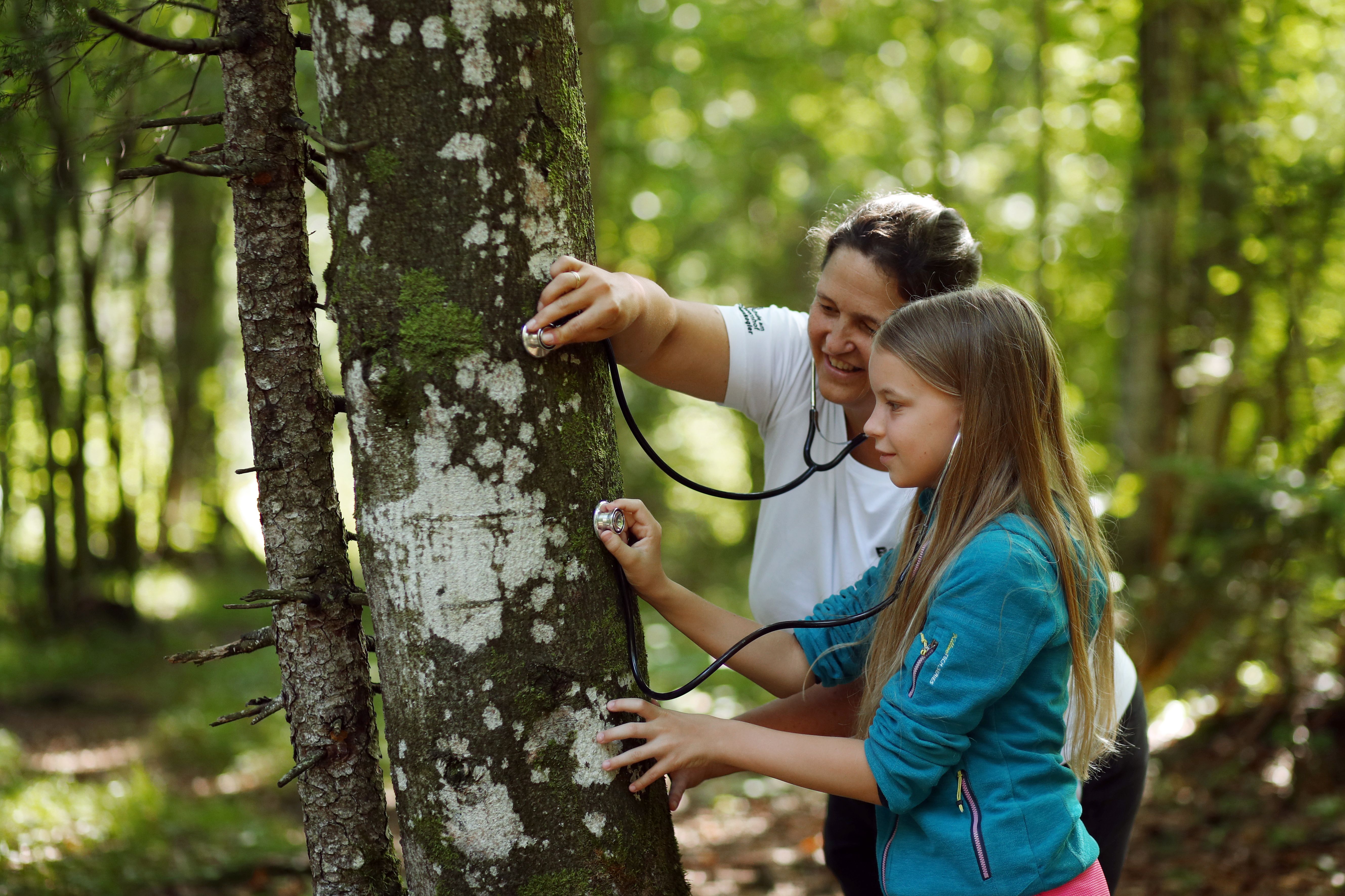 Naturvermittlung im Wald