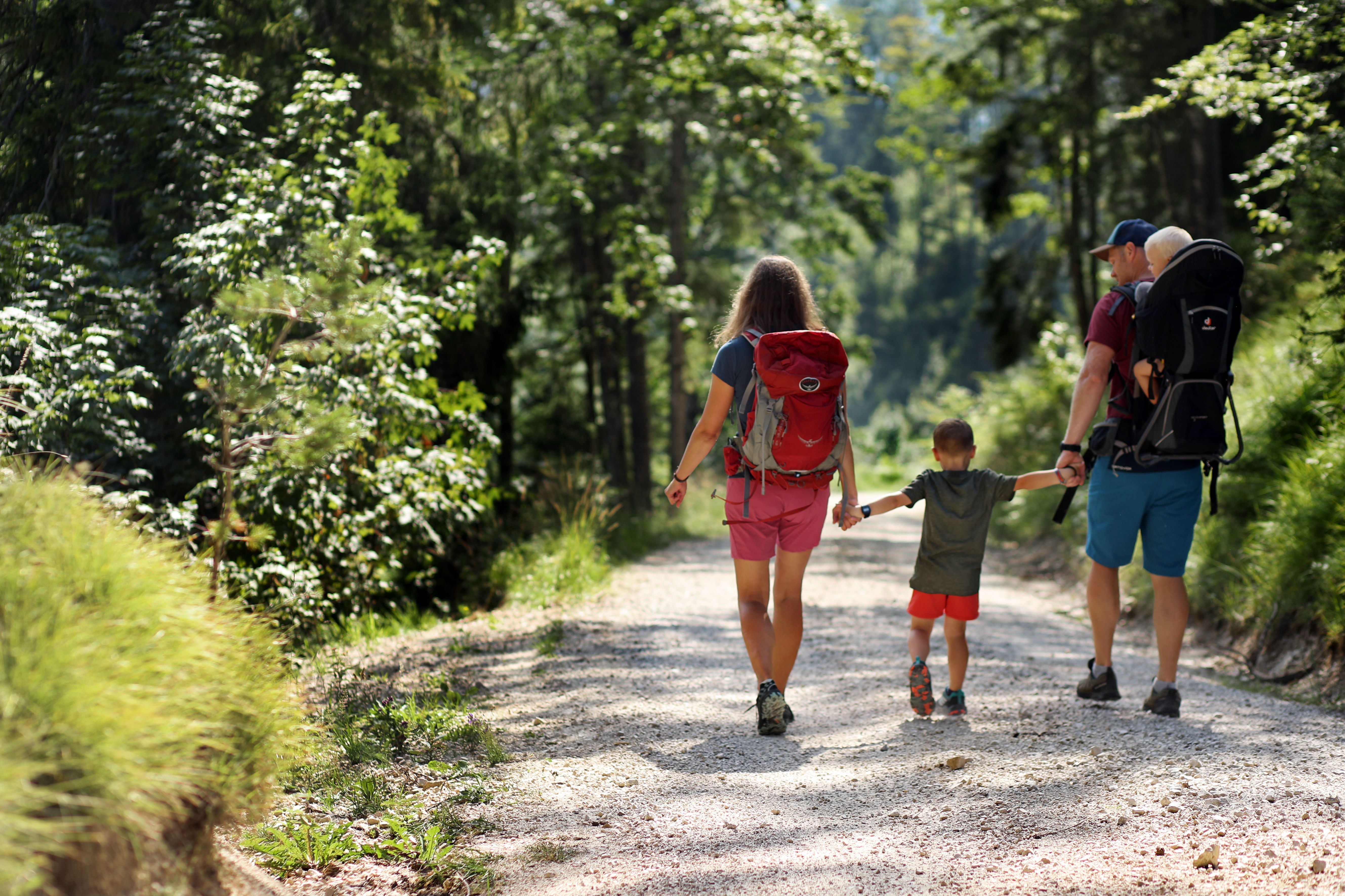Familienwanderung im Naturpark NÖ Eisenwurzen