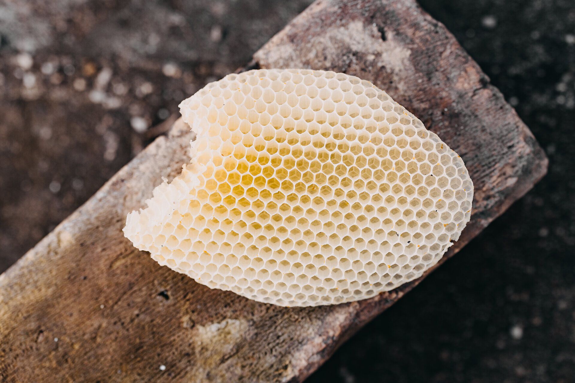 Die goldene Wabe strahlt in der warmen Sonne und verspricht den süßen Genuss von frischem Honig. Umgeben von der idyllischen Natur des Wienerwaldes, lädt sie dazu ein, die Aromen der Region zu entdecken und sich von der Vielfalt der lokalen Produkte verzaubern zu lassen.