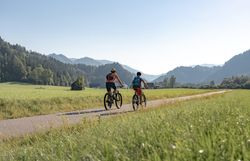 Zwei Radfahrer genießen die frische Bergluft und die atemberaubende Landschaft der Ybbstaler Alpen. Umgeben von saftigem Grün und majestätischen Bergen, erleben sie die Freiheit und den Spaß am Radfahren in dieser idyllischen Umgebung.