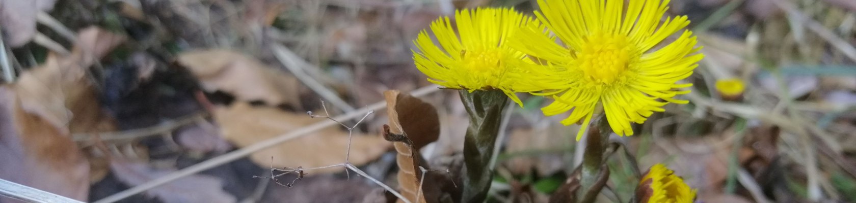 A heart for the nature, &copy; Christine Baron