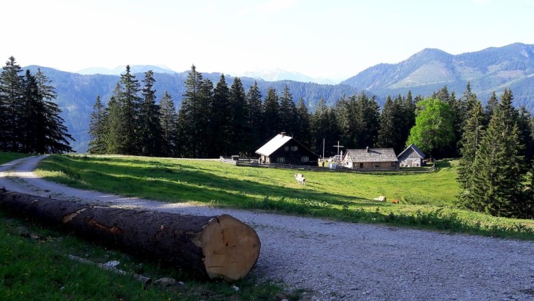 Hut view, © Eva Schauer