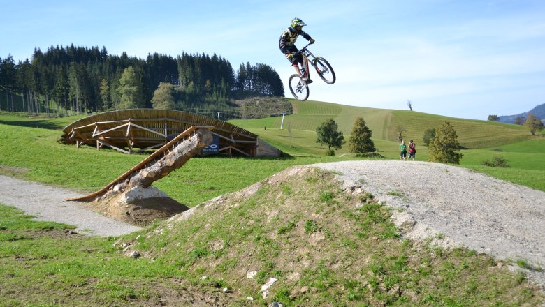 Mountainbiker springt &uuml;ber Rampe im Bikepark K&ouml;nigsberg.