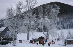 Inmitten einer winterlichen Landschaft, wo schneebedeckte Bäume die Stille umarmen, versammeln sich Menschen, um die Schönheit der Natur zu genießen. Die frische, kalte Luft und das sanfte Knirschen des Schnees unter den Füßen schaffen eine einladende Atmosphäre für Abenteuer und Entspannung.
