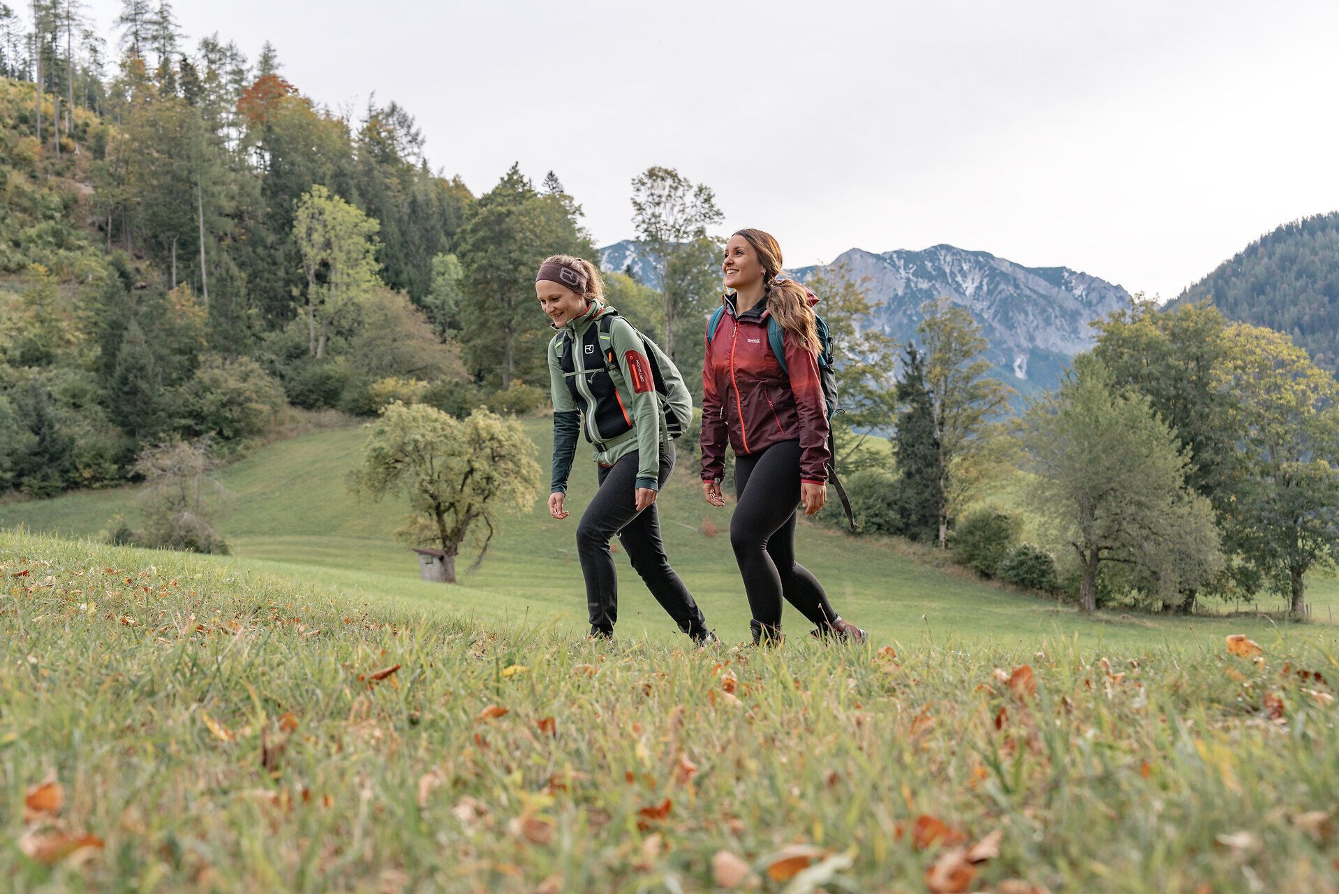 Zwei Wanderer genießen die frische Herbstluft in den Ybbstaler Alpen, während sie durch das sanft geschwungene Grasland schreiten. Umgeben von majestätischen Bergen und bunten Laubwäldern, strahlt die Landschaft eine einladende Ruhe aus, die zum Verweilen und Entdecken einlädt.