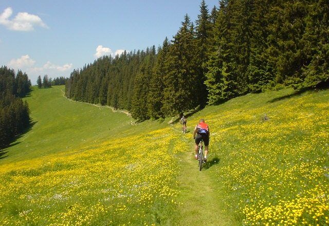 Mountainbike, © weinfranz