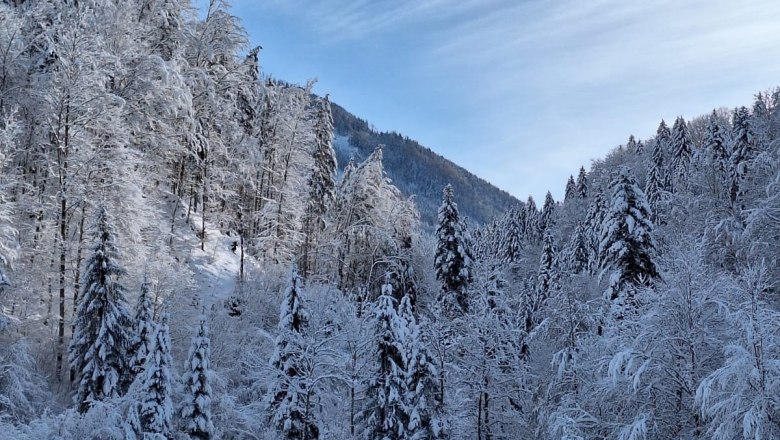 ferienhof-schelchen-in-winter-10, © Schoisswohl