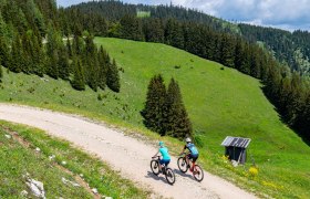 MTB_Enjoyment, &copy; Wolfgang Wutzl