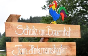 Schule am Bauernhof, © Petra Mandl