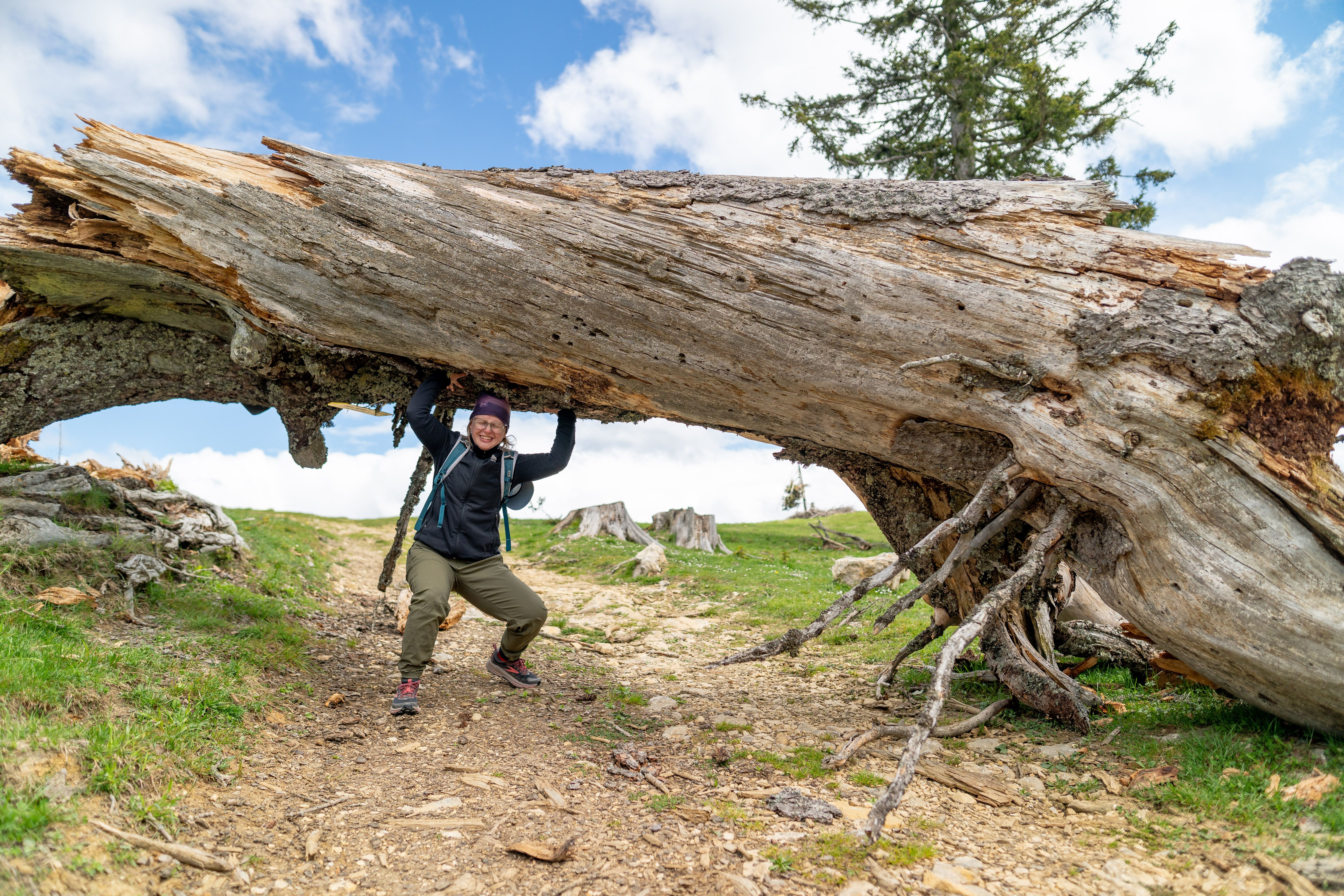Frau steht unter einem Baum und hält ihn als würde sie den Baum heben
