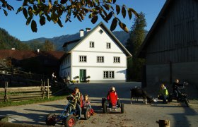 Children playing on a farm with Kettcars and a goat in the foreground.