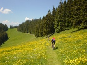 MTB Mostviertel, &copy; Mostviertel