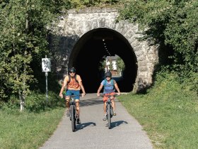 Two cyclists enjoy the fresh air and picturesque surroundings of the Ybbstal Alps as they cycle through a shady tunnel. The lush vegetation and rolling hills create an inviting atmosphere for adventure seekers and nature lovers.