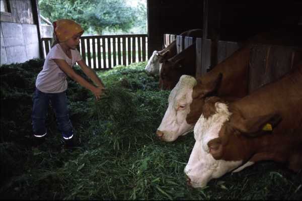 Bei der Stallarbeit mithelfen, &copy; zVg