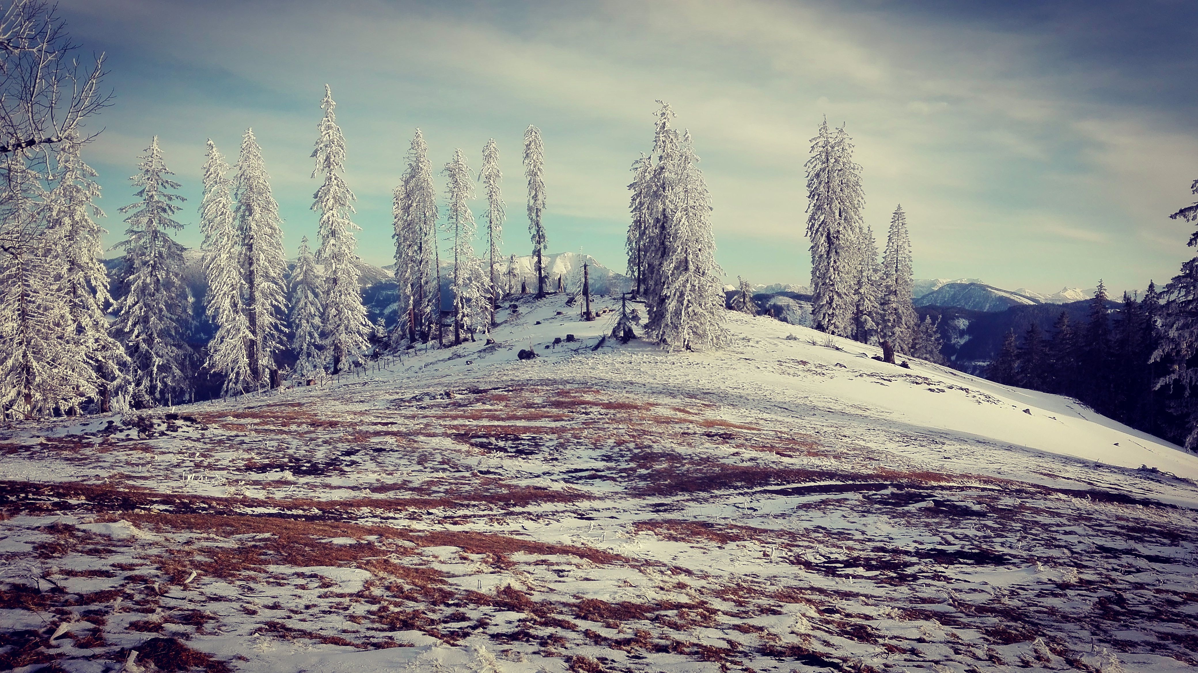 Turnhöhen Hollenstein 