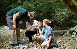 Zwei Kinder und zwei Erwachsene erkunden die Flora und Fauna entlang eines kleinen Bachs. Sie blicken gespannt durch eine spezielle Becherlupe. 